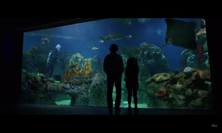 Un mundo sin adultos