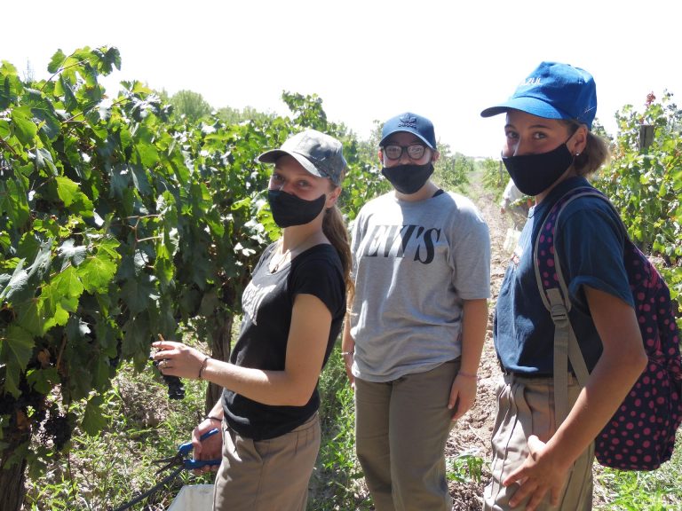 Sostenernos en la Madre Tierra