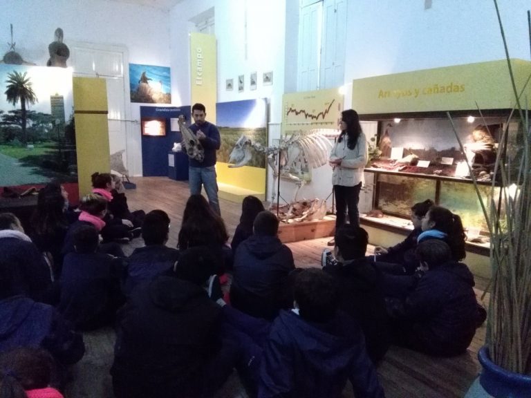 Tesoros de la Creación, en un museo salesiano