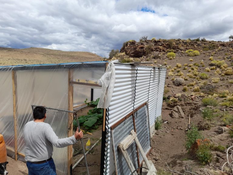 Gan Gan: levadura que hace crecer la vida