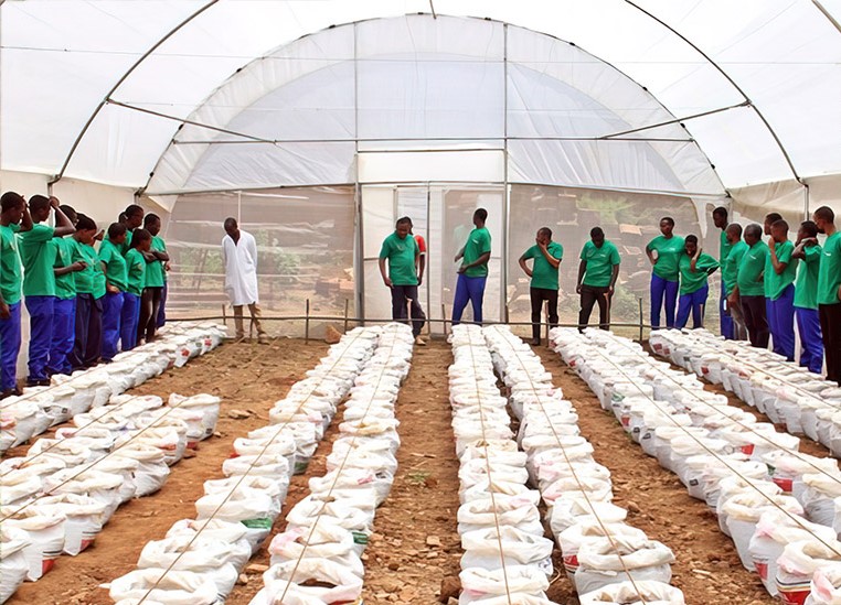 Cuidar el medio ambiente es cuidar a las personas