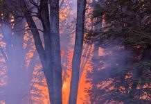 Una herencia de cenizas