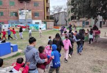 Florecer en tierra fértil