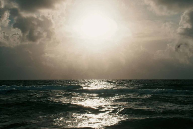 Salvados por la esperanza